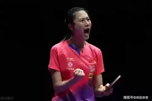 丁宁阵容插图1