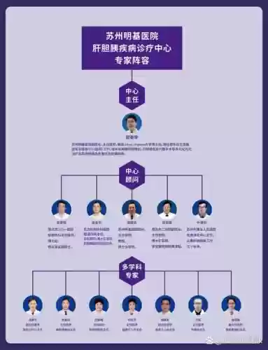 老专家阵容插图