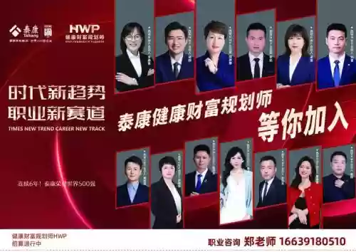 经理小康阵容插图