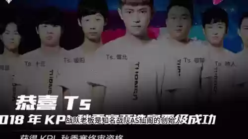 ts全体阵容插图
