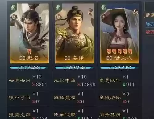 姜维组队阵容插图1