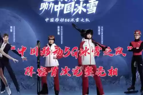 冰雪的阵容插图1