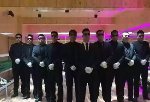 有保镖阵容搭配插图