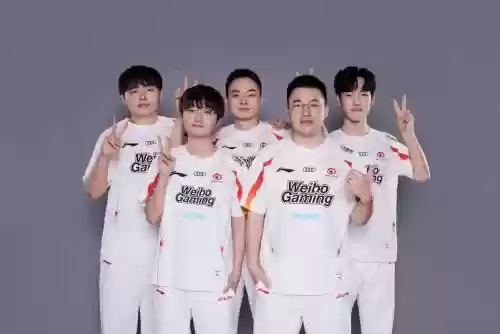 lngjdg阵容插图1