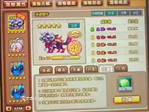 宠物装备能锁吗插图1