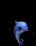 梦幻西游超级海豚能力提升插图