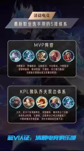 王者阵容效果插图1