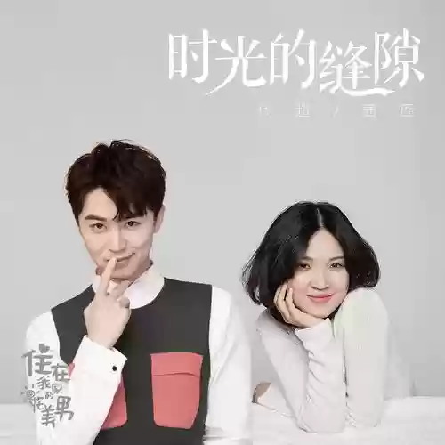 时光缝隙阵容插图1