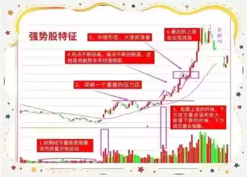 短线最强阵容插图1
