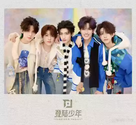 阵容泽鑫插图