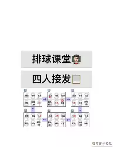 42阵容排球插图1