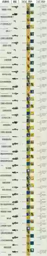 辐射避难所装备推荐插图1