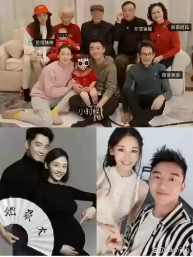 综艺夫妻阵容插图