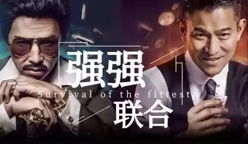 追龙阵容插图