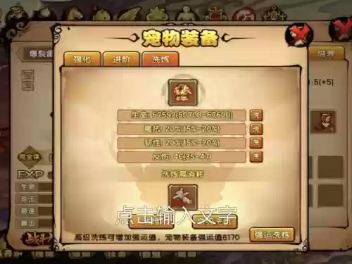 宠物装备能锁吗插图