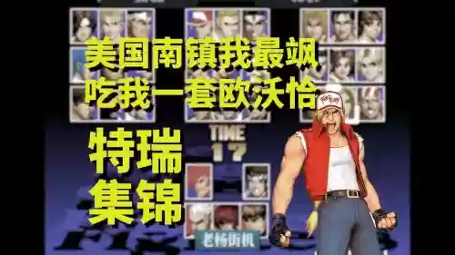 拳皇阵容搭配特瑞插图