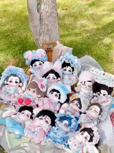 小棉花阵容插图