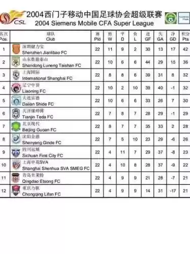 2004深圳阵容_1插图1 2004深圳阵容_1插图1