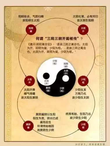 三阴阵容插图