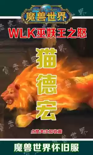 魔兽世界德鲁伊技能宏设置插图
