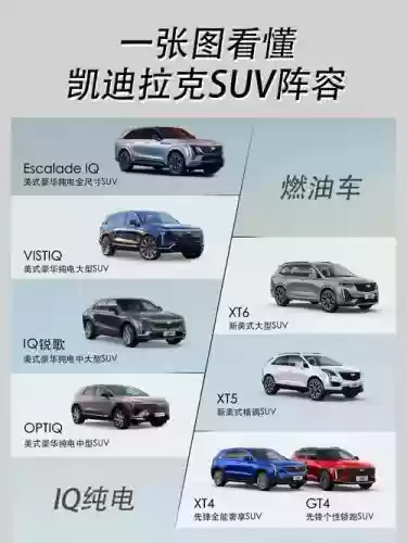凯迪阵容插图1