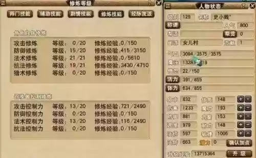 梦幻西游打图等级职业插图