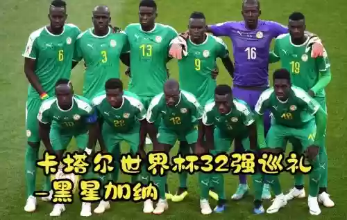 加纳球员阵容插图