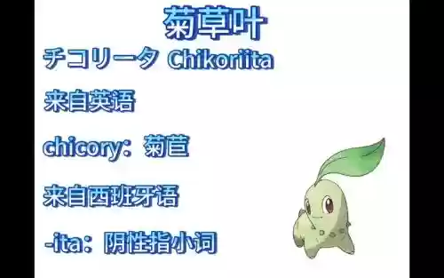 菊草叶技能菜单插图1 菊草叶技能菜单插图1