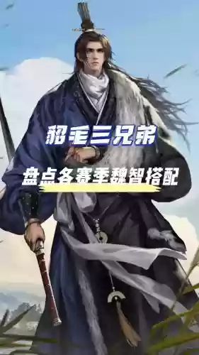 魏智阵容插图