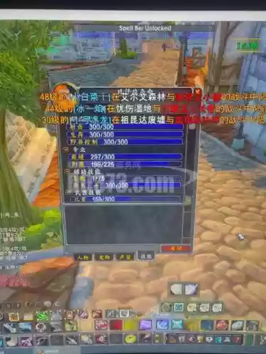 6.2pvp猎人装备插图