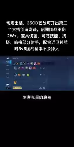 扁鹊套装搭配阵容插图