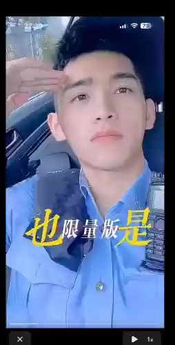 29天攻略警察_1插图 29天攻略警察_1插图