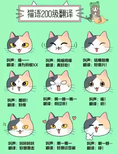 尖叫吧喵星人攻略插图 尖叫吧喵星人攻略插图