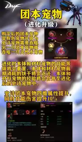dnf战法宠物装备插图1