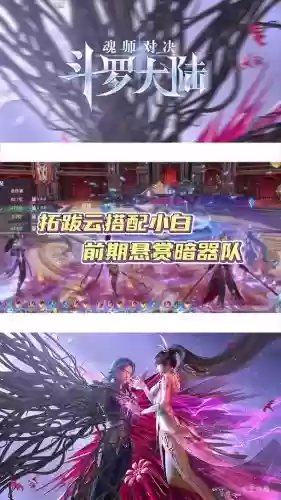 尘心阵容搭配实战_2插图1