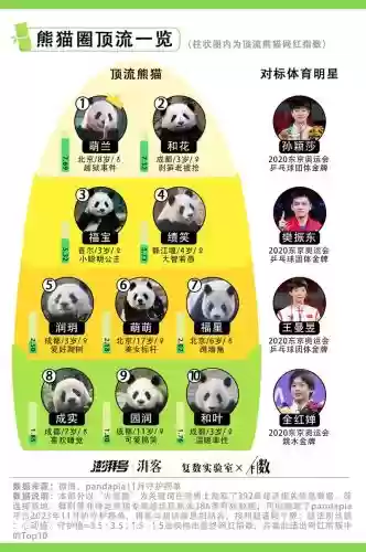 熊猫搭配阵容图_1插图