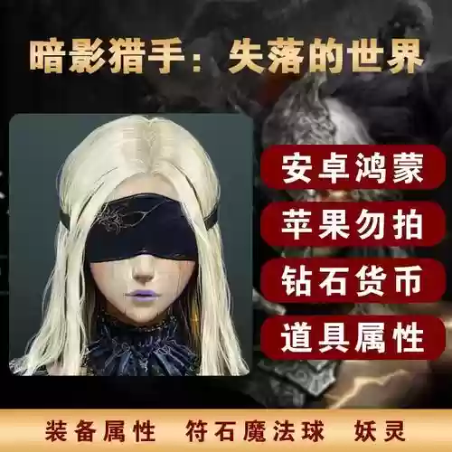 暗影猎手的装备插图