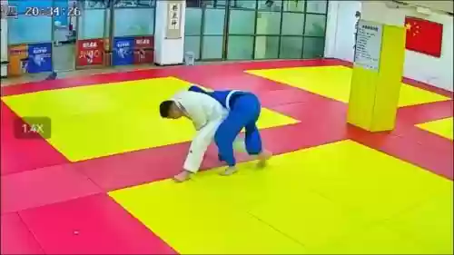 柔道20人擎天攻略插图