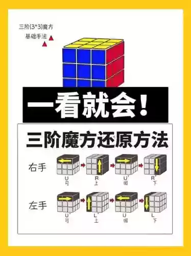 魔方阵容搭配插图