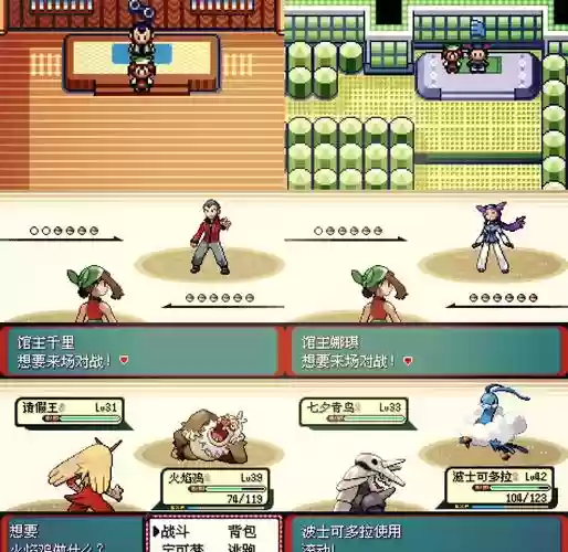 口袋妖怪绿宝石802攻略插图