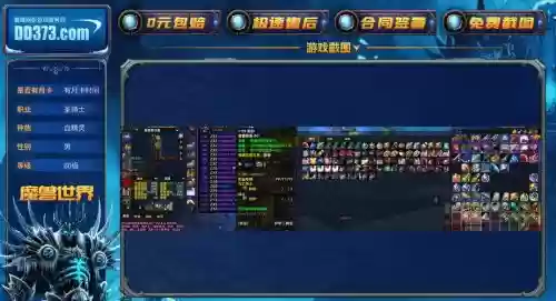 圣骑士和盗贼pvp装备选择插图