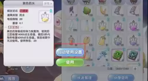 仙境传说升级挂机攻略插图 仙境传说升级挂机攻略插图