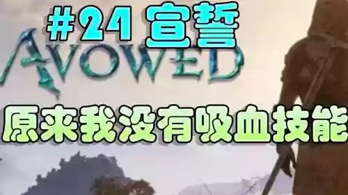 我的嗜血珠没有吸血技能插图