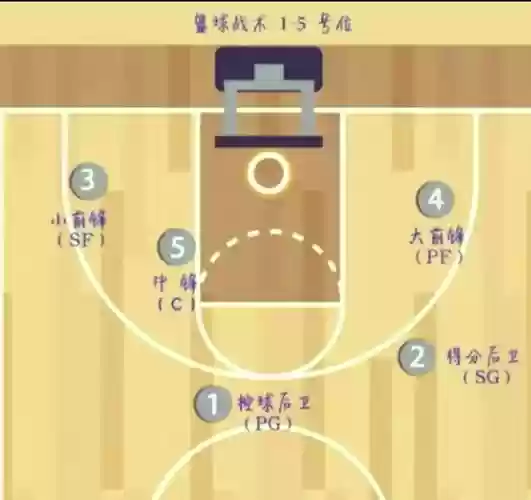 篮球战术阵容搭配插图1
