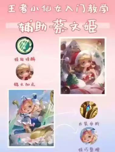 蔡文姬技能使用顺序插图