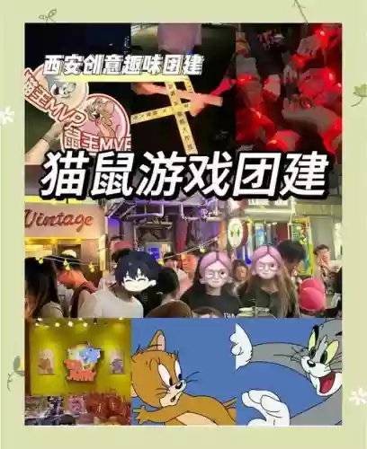 猫鼠阵容搭配插图1