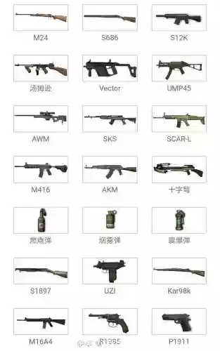 地求生的武器插图1