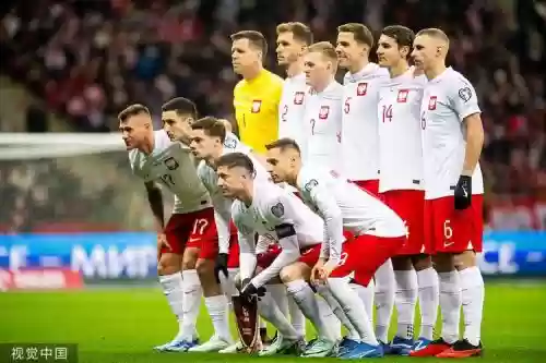 波兰2006阵容插图1 波兰2006阵容插图1