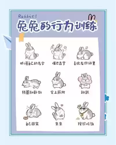 家兔特有的技能插图1