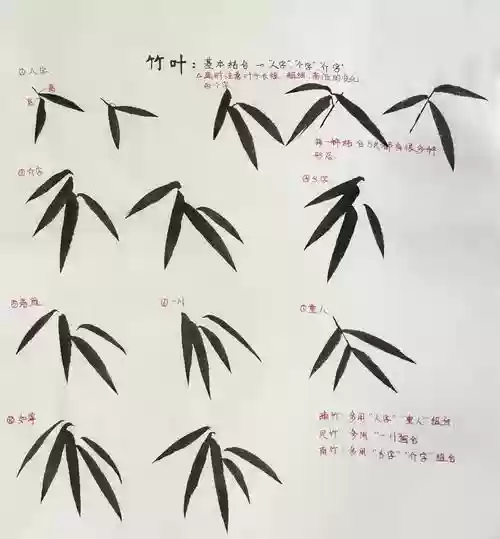 竹叶阵容搭配插图